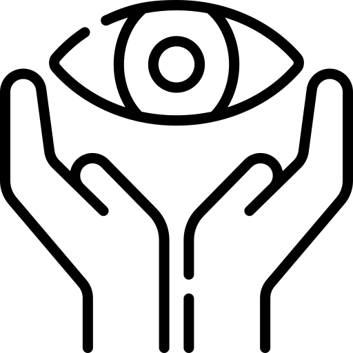 vision (1) vision (1)