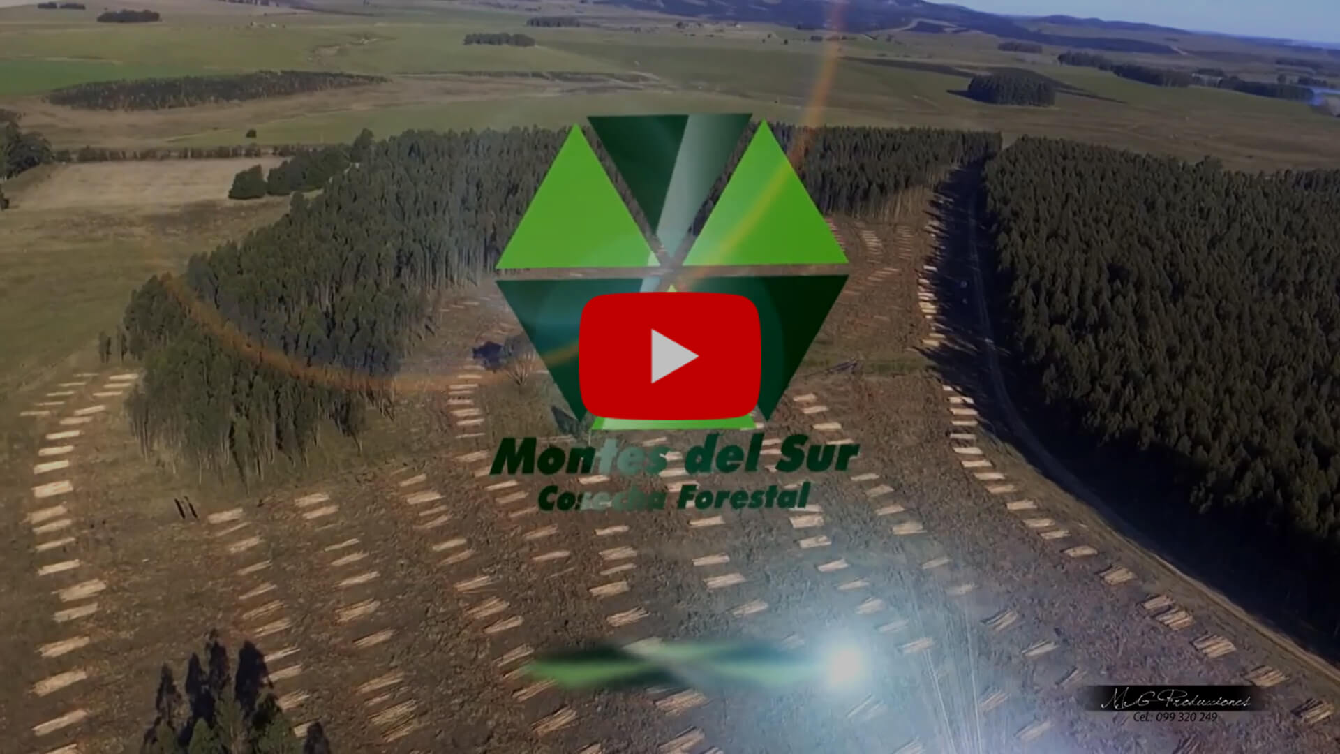 Montes del Sur Cosecha Forestal