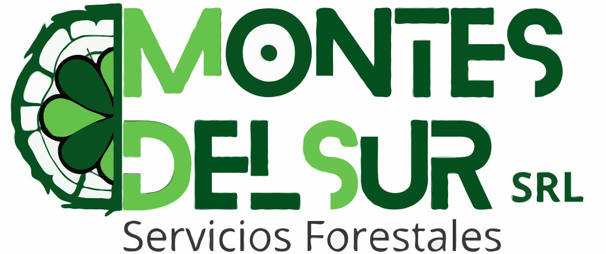 logo nuevo